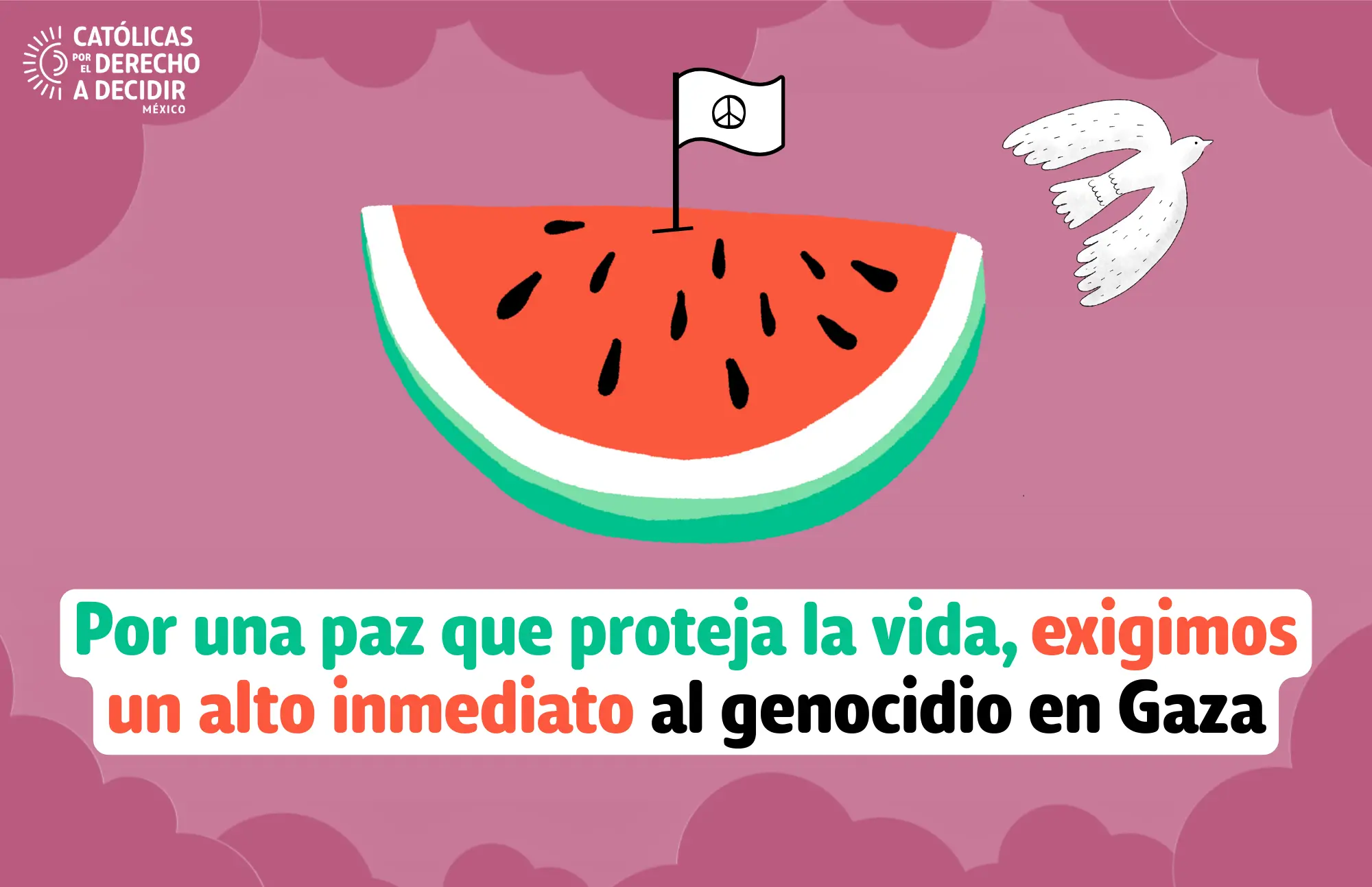 Lee más sobre el artículo Por una paz que proteja la vida, exigimos un alto inmediato al genocidio en Gaza